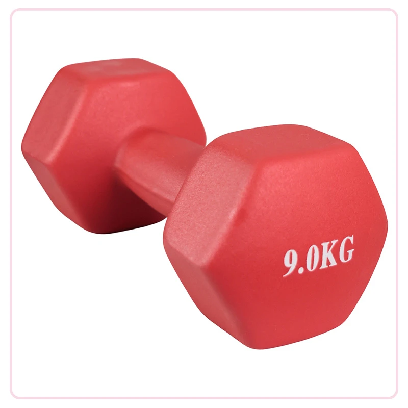 Mancuerna para Ejercicio de 9kg